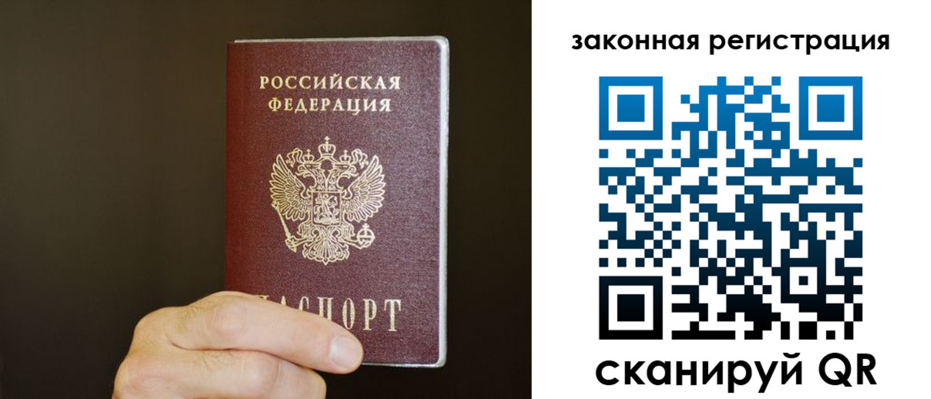 прописка регистрация в Оленегорске